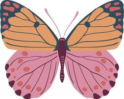 Graceful Butterfly with Wide Wings Spread vector