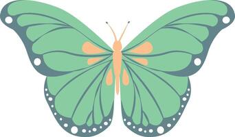 Stylized Butterfly with Wide, Spanning Wings vector