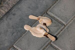 Icecream on the ground. selective focus, chocolate icecream cone photo