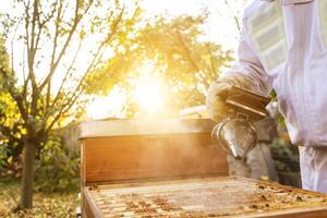 Beekeeper on an apiary, beekeeper is working with bees and beehives on the apiary, beekeeping or apiculture concept photo
