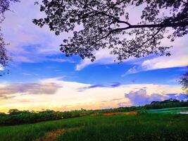 beautiful sunset over a field with trees and clouds photo