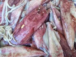Fresh squid on a tray. Closeup squid or splendid squid Lined up beautifully on a stall in a seafood market in a fishing village on the central coast of Vietnam photo