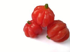 Tropical fruit. The Brazilian cherry or Pitanga also know as Eugenia uniflora, ripening on the pitangueira tree. Red fruit. photo