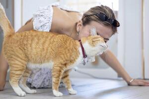 Cat owner is getting affection by her ginger cat with love and care after rescuing him from the pet shelter for sitter boarding service and life long companion partner concept photo