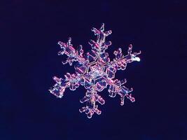 Super macro photography of snowflake. Snowflake natural crystal single isolated on dark blue background, transparent abstract photo background