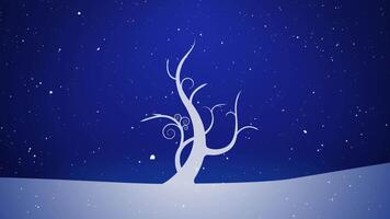 Winter White Growing Tree Sparkling Snowy Sky 4K features a white tree growing out of a winter landscape with sparkling stars in the background and snow falling. video