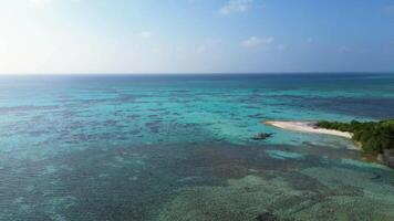 Drone view of a beach with waves on the Maldives with the dreamlike blue of the ocean and the view of the horizon. video