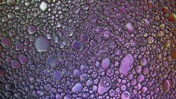 Abstract Shiny Colorful and Shiny Oil Bubbles Circles Background video