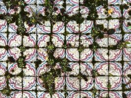 A close-up of an aged, patterned tile pathway partially covered with patches of moss and small plants emerging from cracks. The intricate red and yellow designs on the worn tiles are faded yet reveal photo