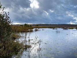 A tranquil wetland in Karelia captured during a gentle autumn rain, with dark, overcast clouds casting reflections on the water's surface. The raindrops create subtle ripples across the wetland photo