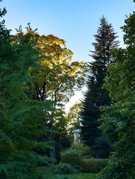 A scenic view of lush autumn trees with golden sunlight filtering through the leaves, casting a warm glow on the hidden house partially visible in the distance. The surrounding greenery and towering photo