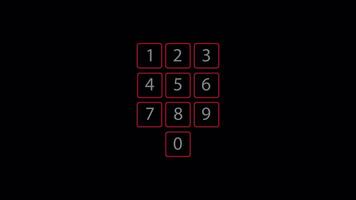 Enter number key code on red security system control panel video