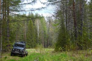 An off-road vehicle is parked in the forest photo