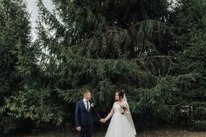 A bride and groom are standing in front of a large tree, holding hands photo