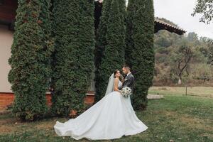 A bride and groom are standing in front of a large tree photo