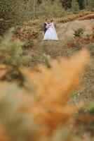 A bride and groom are standing in a field with a beautiful backdrop of trees photo