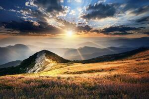 The sun shines over a mountain range with grass and flowers photo