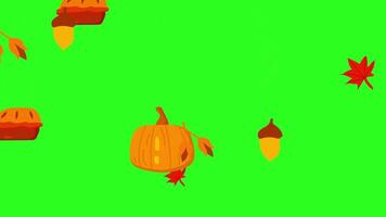 Thanksgiving animated background of autumn leaves, cakes, acorns and drinks falling on a greenscreen background video