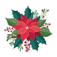 Christmas bouquet of poinsettia flower, holly berries and leaves and mistletoe sprigs. vector