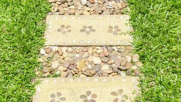 Stepping stones adorned with pebbles form quaint pathway across a lush green lawn photo