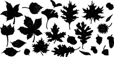 a set of black and white silhouettes of leaves vector