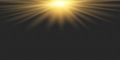 golden light rays on black background vector
