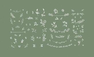 Elements flowers and branches to create label or sign in hand drawing style. Green color background. vector