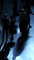 Silhouettes of Various People Walking in a Busy and Lively Space Filled with Activity video
