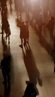 Silhouetted Figures in Motion Gracefully Captured Under Soft, Gentle Illumination video