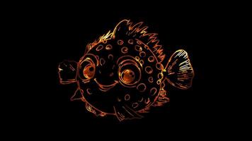 Neon frame effect, Pufferfish cute pufferfish with big eyes on black background video