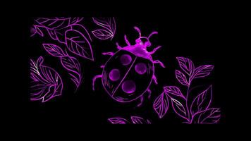 Neon frame effect, ladybug with red spots and leafy backgrounds on black background video
