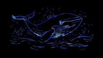 Neon frame effect, Whale gentle whale with a splash of water and a happy face on black background video