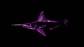 Neon frame effect, Swordfish swordfish with an elongated nose on black background video