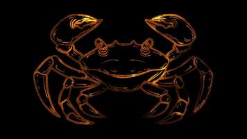 Neon frame effect, Crab crab with big claws and a cheeky grin on black background video
