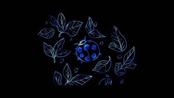 Neon frame effect, ladybug with red spots and leafy backgrounds on black background video