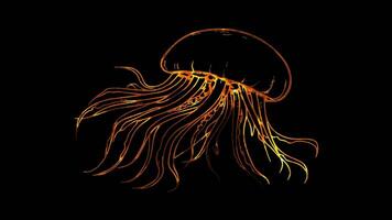 Neon frame effect, Jellyfish jellyfish with long, flowing tentacles and a friendly face on black background video