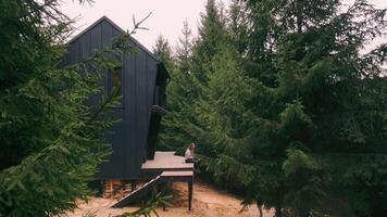 noir moderne cabine niché parmi dense pin des arbres. une lisse, noir, moderne cabine avec une balcon mélanges dans le alentours dense pin forêt, création une isolé et tranquille atmosphère avec une la personne video