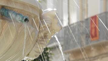 Spout of public fountain with sculpted faces of lions pouring water video