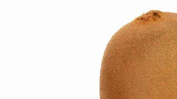 Kiwi fruit rotating. Close up. Loop video
