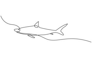 Continuous one line drawing of shark fish vector
