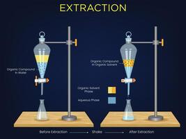 Extraction Experiment Separating Compounds Using Solvent-Based Techniques vector