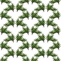 Seamless pattern of fir tree branches on a white background vector