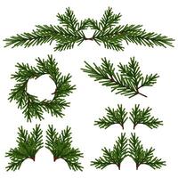 Set of different compositions of green Christmas tree branches without decorations vector