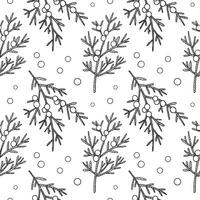 Seamless pattern with Juniper branches and berries. Hand drawn Repeating background with heather plants and fruits. Food, medicine ingredient. Design for print, textile, paper, card, label vector