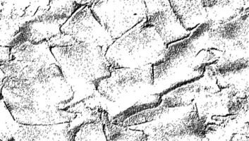 White and black wall background with concrete texture. Stone pattern with subtle black and black paint effect, resembling cement. illustration isolated vector