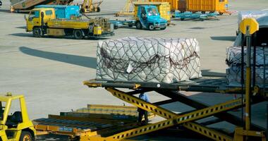 Qatar Doha 06.11.2024 airport Runway Qatar Airways planes loading luggage view from the window Launch zone workers at the airport video