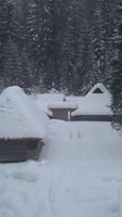 Amidst tall, snow-laden trees, wooden cabins sit quietly in a white blanket of snow, reflecting a peaceful winter setting. vertical video