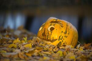 Smiling Pumpkin Amidst Autumn Leaves in a Tranquil Setting photo