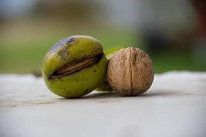 Closeup of fresh walnut and seeds on a textured surface in natural light for autumn harvest concept photo