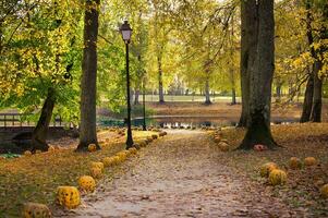 Autumn park pathway decorated with carved pumpkins and surrounded by vibrant yellow trees photo